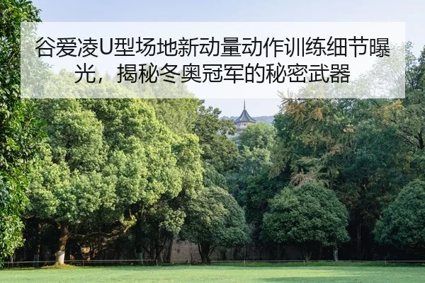 谷爱凌U型场地新动量动作训练细节曝光，揭秘冬奥冠军的秘密武器
